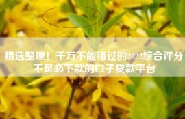 精选整理！千万不能错过的2022综合评分不足必下款的口子贷款平台