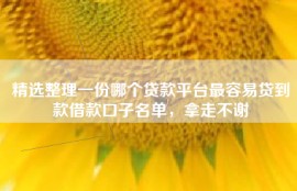 精选整理一份哪个贷款平台最容易贷到款借款口子名单，拿走不谢