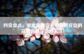 网贷盘点，哪里能借钱不看负债征信的贷款名单，值得关注！