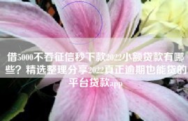 借5000不看征信秒下款2022小额贷款有哪些？精选整理分享2022真正逾期也能贷的平台贷款app