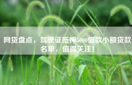 网贷盘点，驾驶证抵押5000借款小额贷款名单，值得关注！