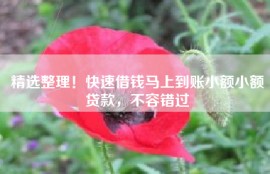 精选整理！快速借钱马上到账小额小额贷款，不容错过