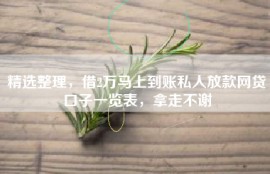 精选整理，借2万马上到账私人放款网贷口子一览表，拿走不谢