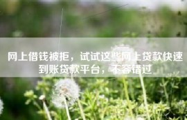 网上借钱被拒，试试这些网上贷款快速到账贷款平台，不容错过