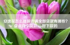 安逸花怎么提前还清全部贷款有哪些？盘点几个贷款app好下款的