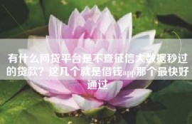有什么网贷平台是不查征信大数据秒过的贷款？这几个就是借钱app那个最快好通过
