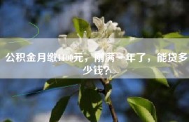 公积金月缴1100元，刚满一年了，能贷多少钱？
