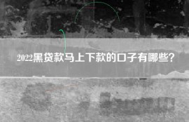 2022黑贷款马上下款的口子有哪些？