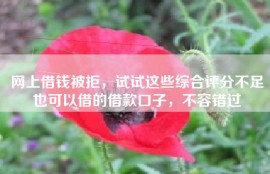 网上借钱被拒，试试这些综合评分不足也可以借的借款口子，不容错过