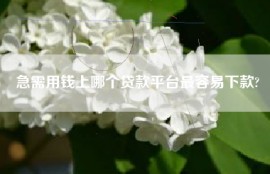 急需用钱上哪个贷款平台最容易下款?
