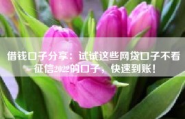 借钱口子分享：试试这些网贷口子不看征信2022的口子，快速到账！