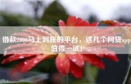 借款2000马上到账的平台，这几个网贷app值得一试！