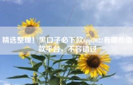 精选整理！黑口子必下款app2022有哪些借款平台，不容错过