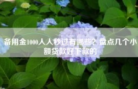 备用金1000人人秒过有哪些？盘点几个小额贷款好下款的