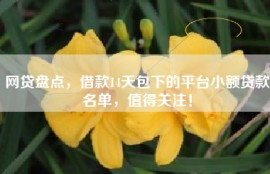 网贷盘点，借款14天包下的平台小额贷款名单，值得关注！