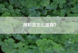微粒贷怎么提额？
