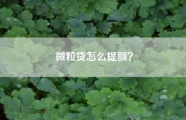 微粒贷怎么提额？