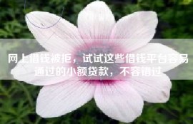 网上借钱被拒，试试这些借钱平台容易通过的小额贷款，不容错过