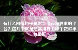有什么网贷口子是求个借钱没要求的平台？这几个就是急需用钱上哪个贷款平台最好