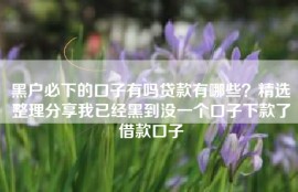 黑户必下的口子有吗贷款有哪些？精选整理分享我已经黑到没一个口子下款了借款口子