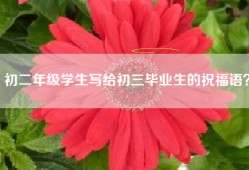 初二年级学生写给初三毕业生的祝福语？