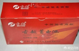 请问蓄电池什么牌子的好？