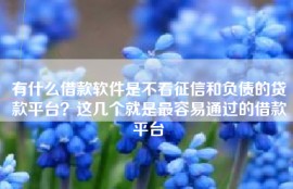 有什么借款软件是不看征信和负债的贷款平台？这几个就是最容易通过的借款平台