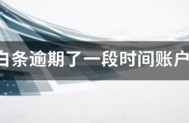京东白条逾期了一段时间账户被锁定暂停使用了，怎么解锁需要多久？