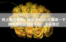 网上借钱被拒，试试这些2022无视黑一千的小额贷款贷款平台，不容错过