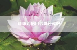 转帐到信用卡算还款吗
