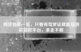 网贷名单一览，只要有驾驶证就能贷到款贷款平台，拿走不谢