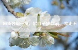 网贷名单一览，黑口子贷款app，拿走不谢
