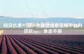 网贷名单一览，小额速借是正规平台吗贷款app，拿走不谢