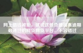 网上借钱被拒，试试这些负债高有逾期必通过的网贷网贷平台，不容错过