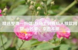 精选整理一份借2万马上到账私人放款网贷app名单，拿走不谢
