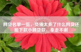 网贷名单一览，负债太多了什么网贷还能下款小额贷款，拿走不谢