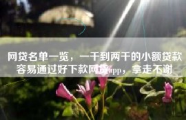 网贷名单一览，一千到两千的小额贷款容易通过好下款网贷app，拿走不谢