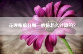 花呗账单分期一般是怎么计算的？