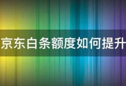 京东白条额度如何提升