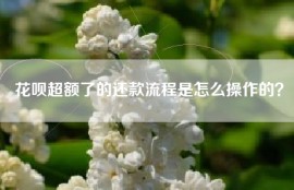 花呗超额了的还款流程是怎么操作的？