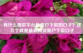 有什么借款平台是黑户下款的口子？这几个就是最新网贷黑户下款口子