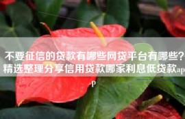 不要征信的贷款有哪些网贷平台有哪些？精选整理分享信用贷款哪家利息低贷款app