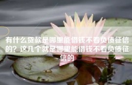 有什么贷款是哪里能借钱不看负债征信的？这几个就是哪里能借钱不看负债征信的