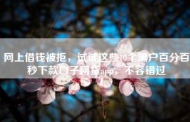 网上借钱被拒，试试这些10个黑户百分百秒下款口子网贷app，不容错过