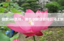 贷款5000急用，哪些小额贷款可以马上到账
