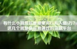 有什么小额贷款是哪里可以私人借5万？这几个就是最容易通过的贷款平台