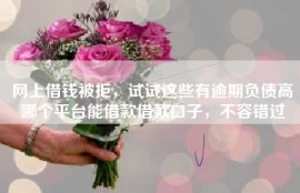 网上借钱被拒，试试这些有逾期负债高哪个平台能借款借款口子，不容错过