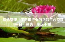 精选整理，不用银行卡的贷款平台贷款平台一览表，拿走不谢
