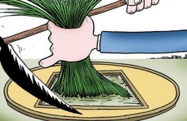 除了白天上班，晚上可以做什么兼职，急用钱？