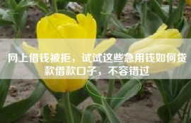 网上借钱被拒，试试这些急用钱如何贷款借款口子，不容错过